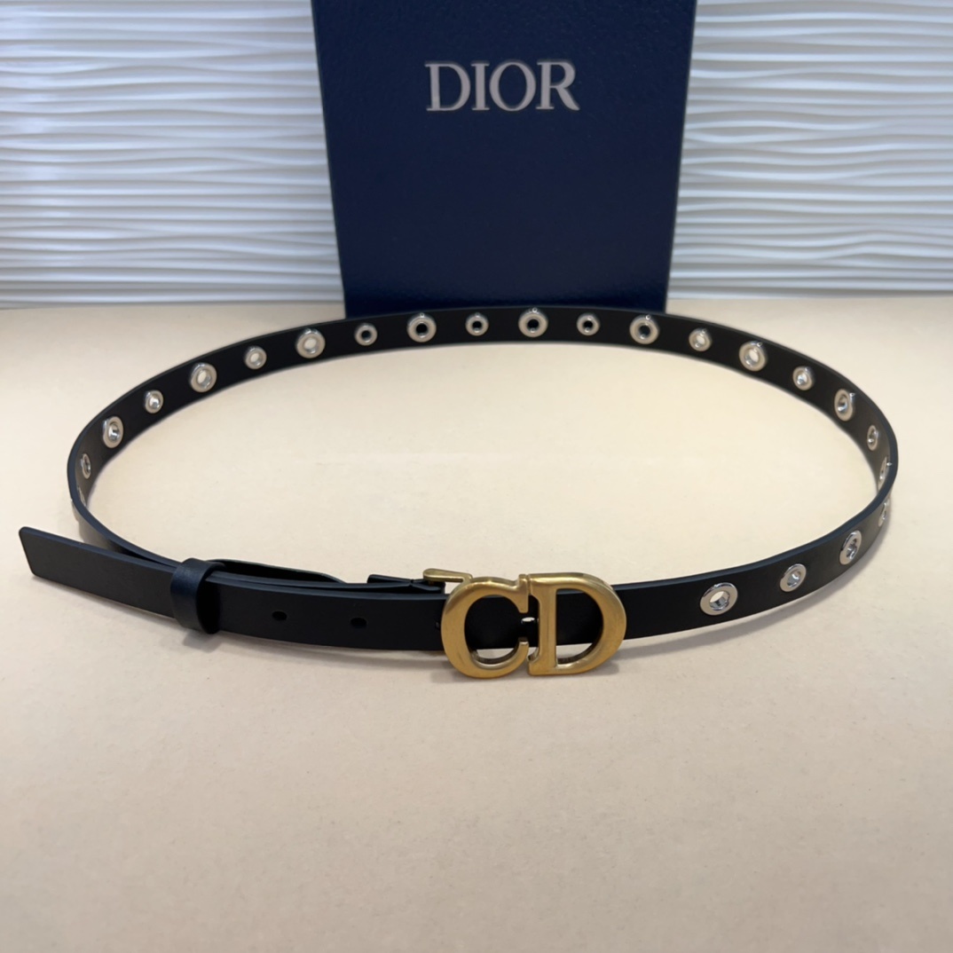 腰带是二零二五早春成衣系列新品,以摩登优雅的风格重新演绎 Dior 经典标识。采用黑色牛皮革精心制作,