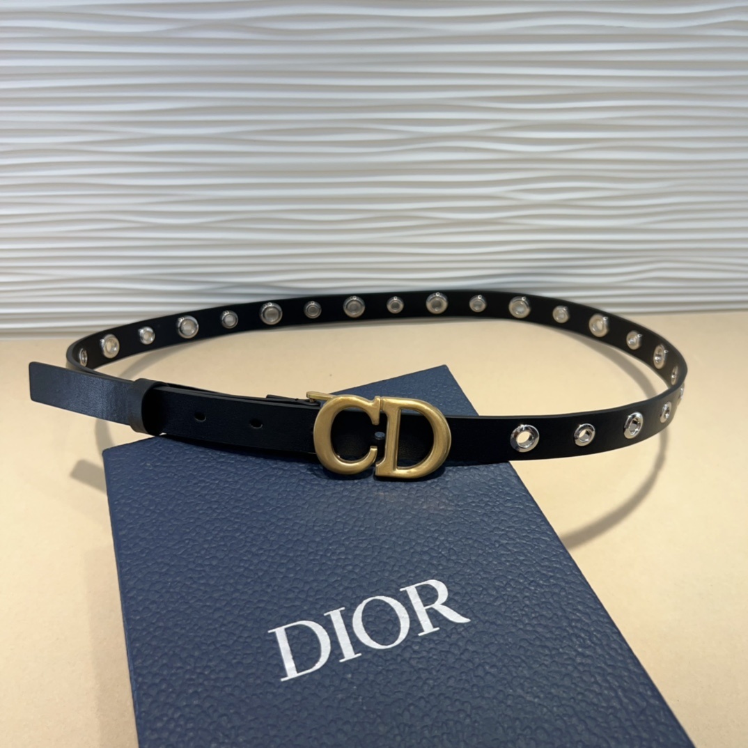 腰带是二零二五早春成衣系列新品,以摩登优雅的风格重新演绎 Dior 经典标识。采用黑色牛皮革精心制作,