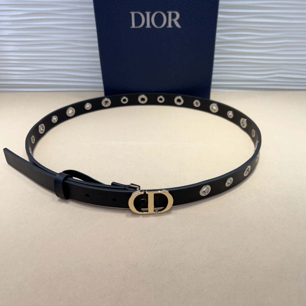 腰带是二零二五早春成衣系列新品,以摩登优雅的风格重新演绎 Dior 经典标识。采用黑色牛皮革精心制作,