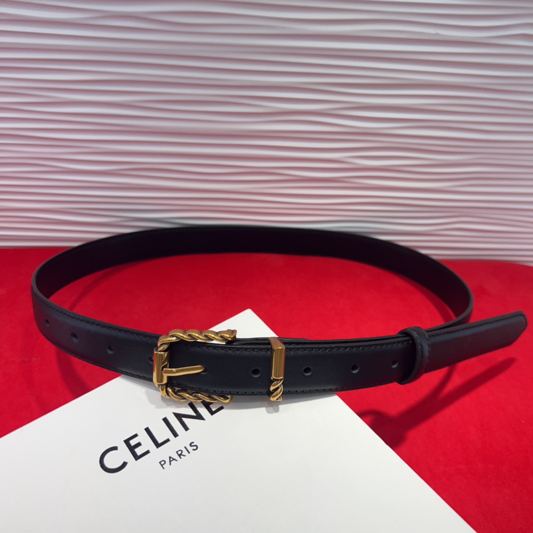 celine TRIOMPHE中号标志印花牛皮革腰带 标志印花和牛皮革
