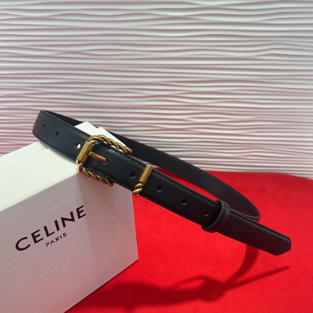 celine TRIOMPHE中号标志印花牛皮革腰带 标志印花和牛皮革