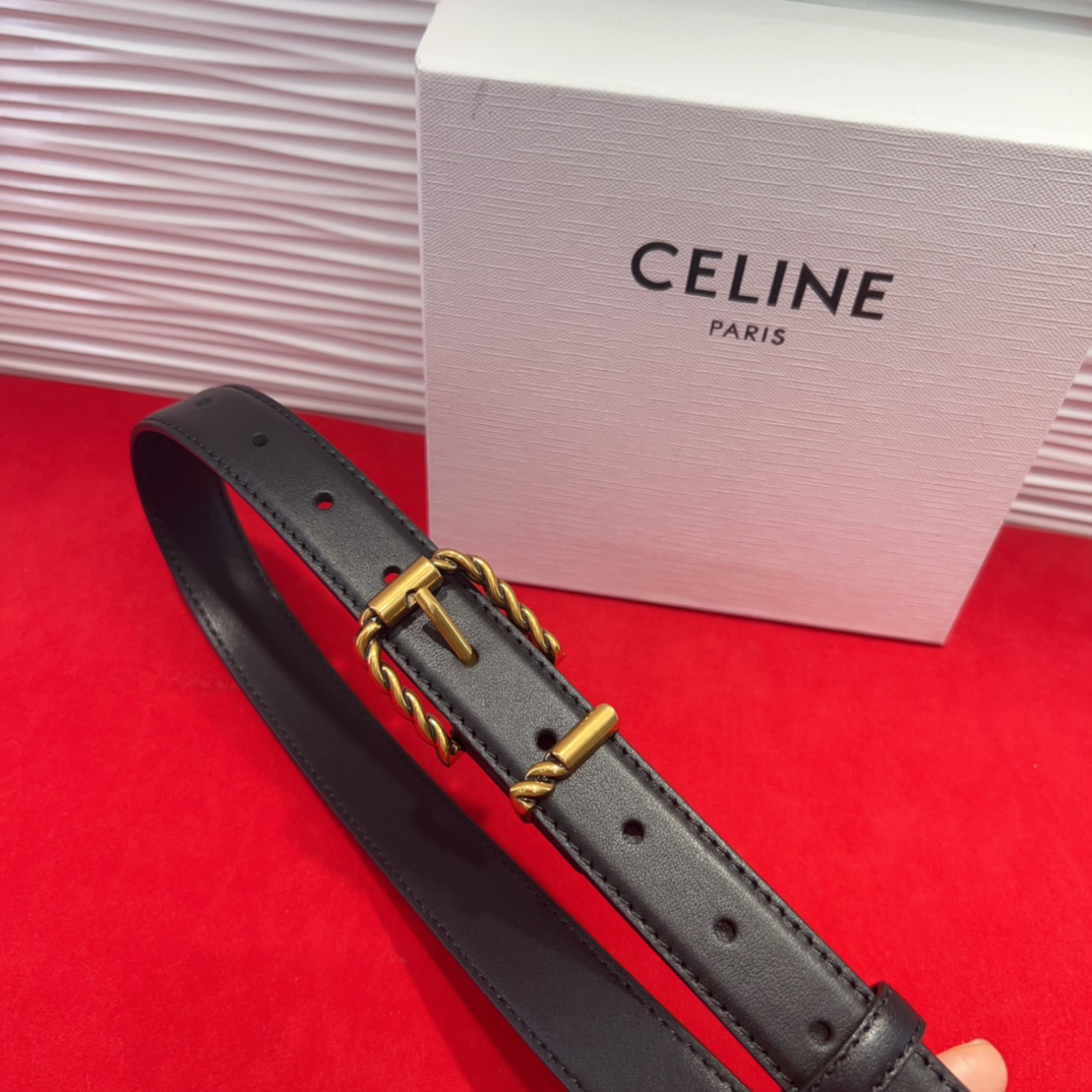 celine TRIOMPHE中号标志印花牛皮革腰带 标志印花和牛皮革