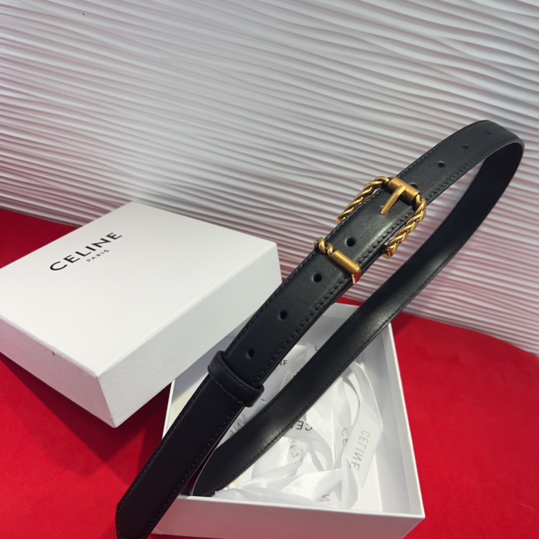 celine TRIOMPHE中号标志印花牛皮革腰带 标志印花和牛皮革