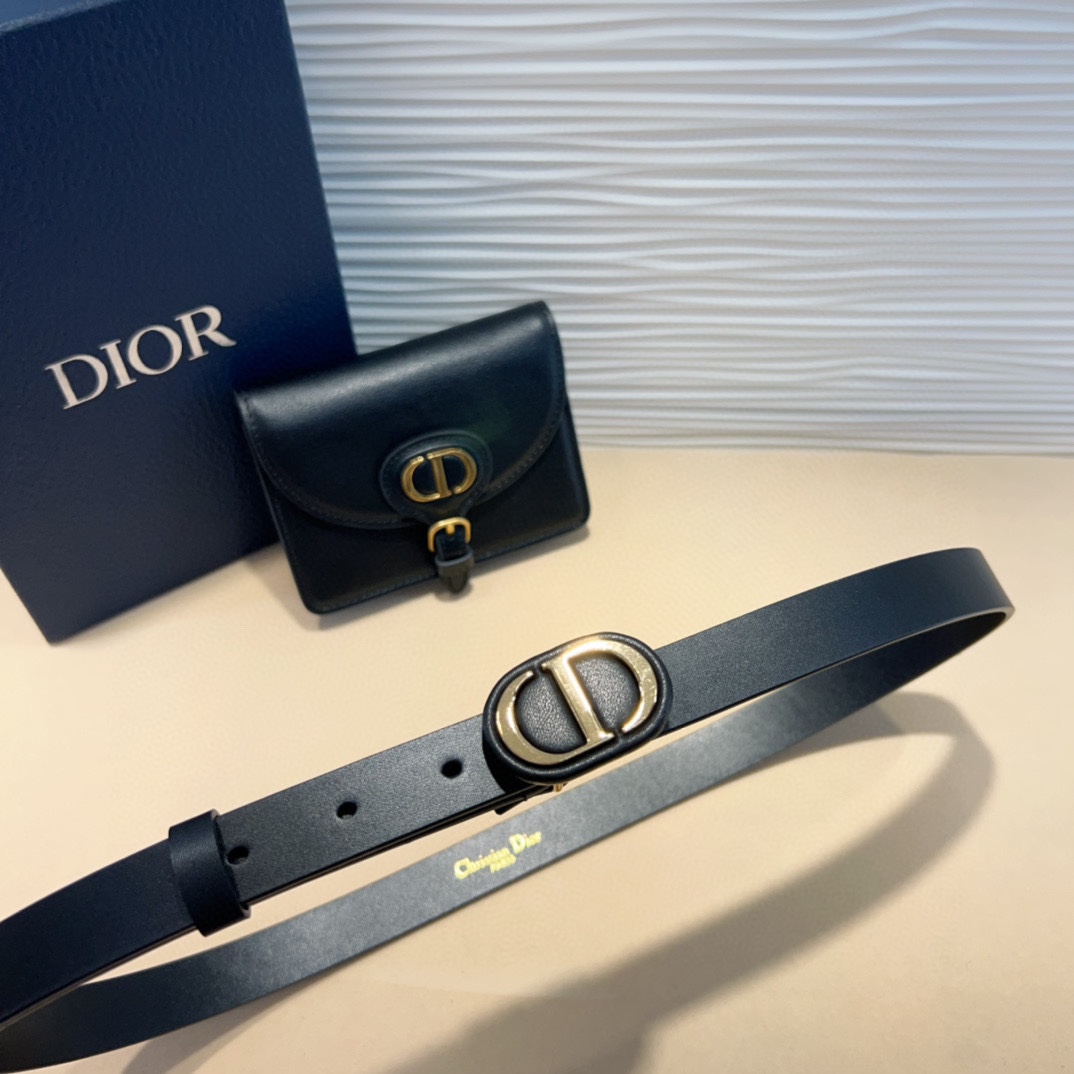 d ior腰包扣金色 内侧饰以*christian Dior PARIS皮带2.0cm