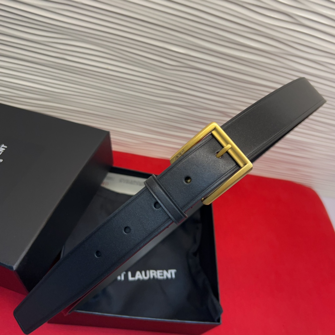 开春秀款Saint Laurent 圣罗兰女士腰带皮带 原厂真金电渡扣头，意大利原厂皮，宽3.0cm，代