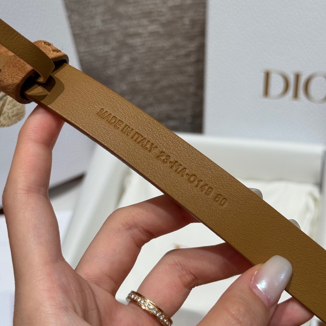-迪家 新款女士腰带这款腰带采用正面麂皮设计背面采用光滑牛皮革制作，以时尚精致的风格全新演绎，饰以经典的