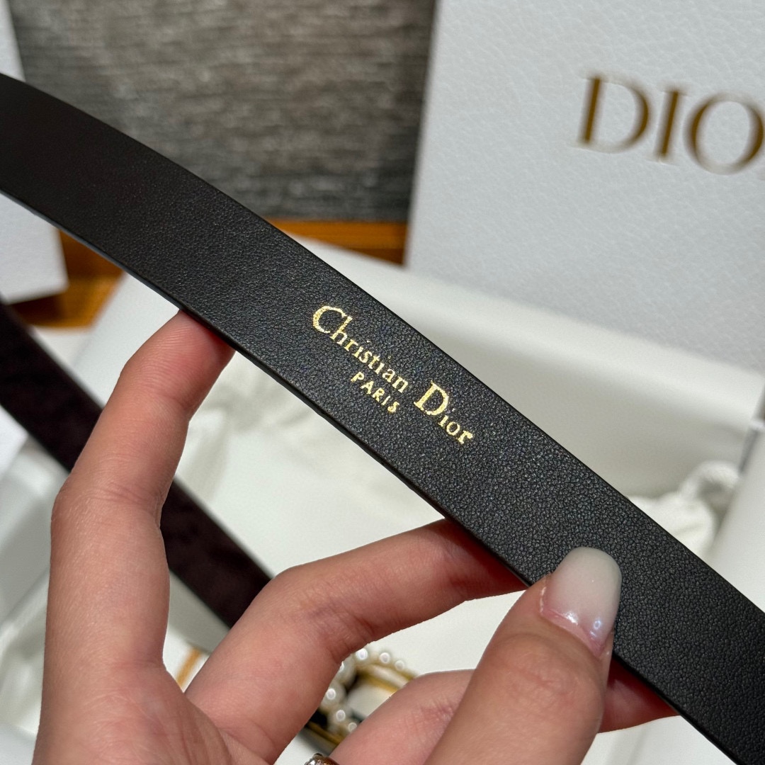 -迪家 新款女士腰带这款腰带采用正面麂皮设计背面采用光滑牛皮革制作，以时尚精致的风格全新演绎，饰以经典的