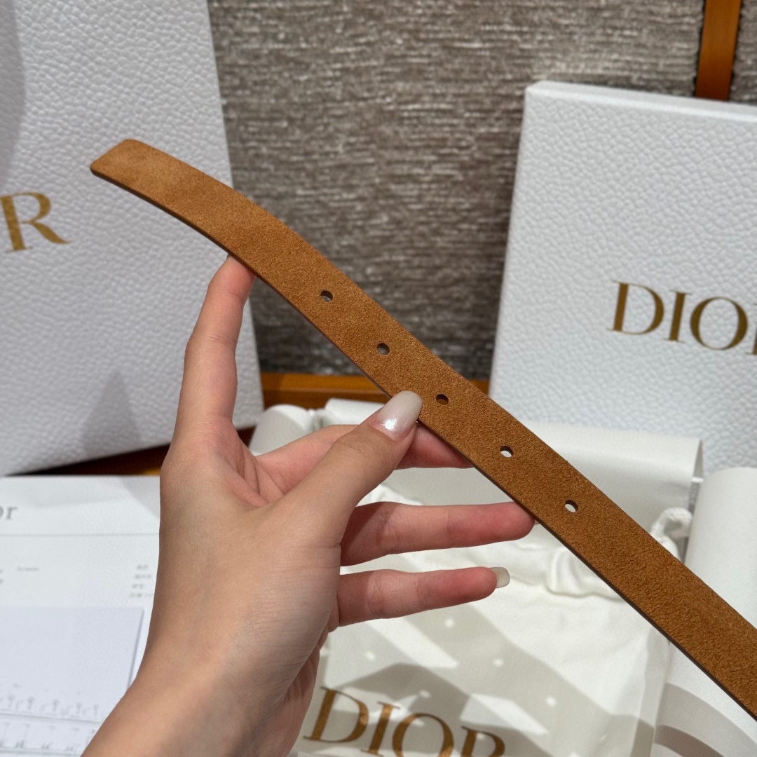 -迪家 新款女士腰带这款腰带采用正面麂皮设计背面采用光滑牛皮革制作，以时尚精致的风格全新演绎，饰以经典的