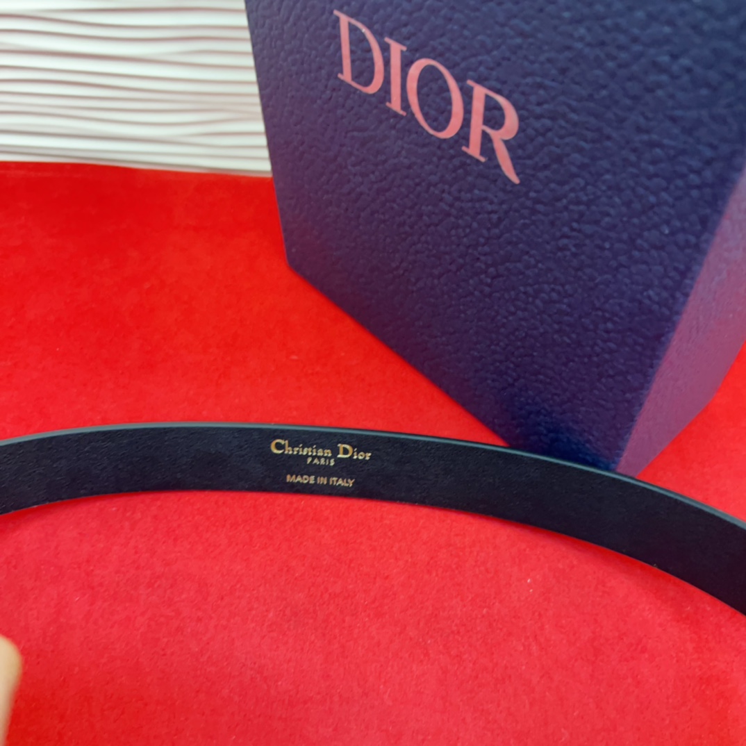 d ior腰包扣金色 内侧饰以*christian Dior PARIS*标志 富有光泽的金色饰面金属细