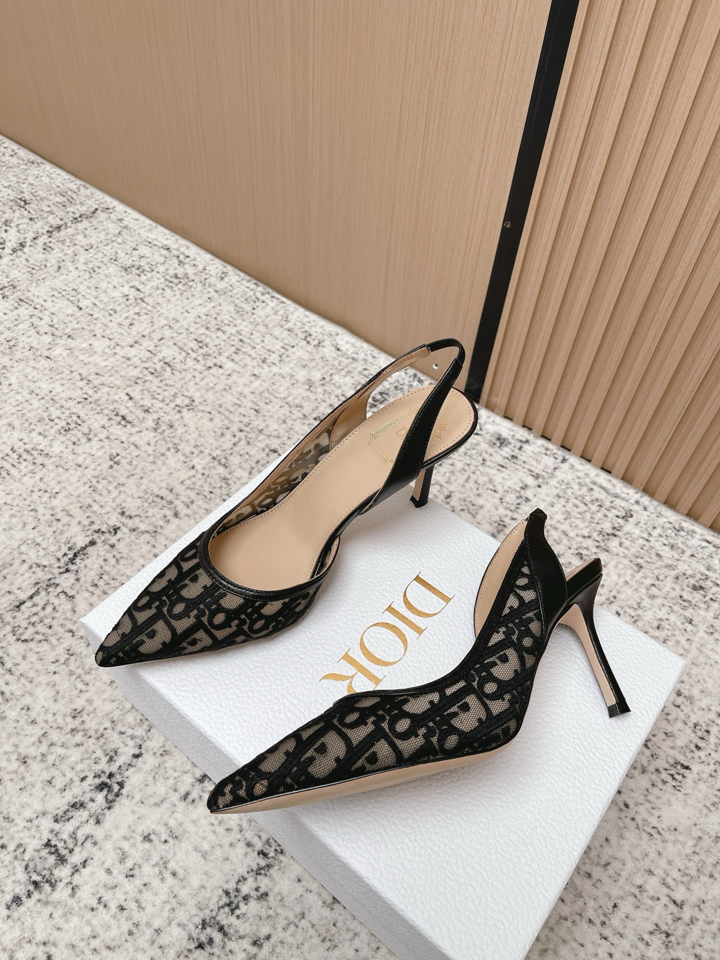 Dior Style Black Leather Women's Shoes Lookbook Reference image 2