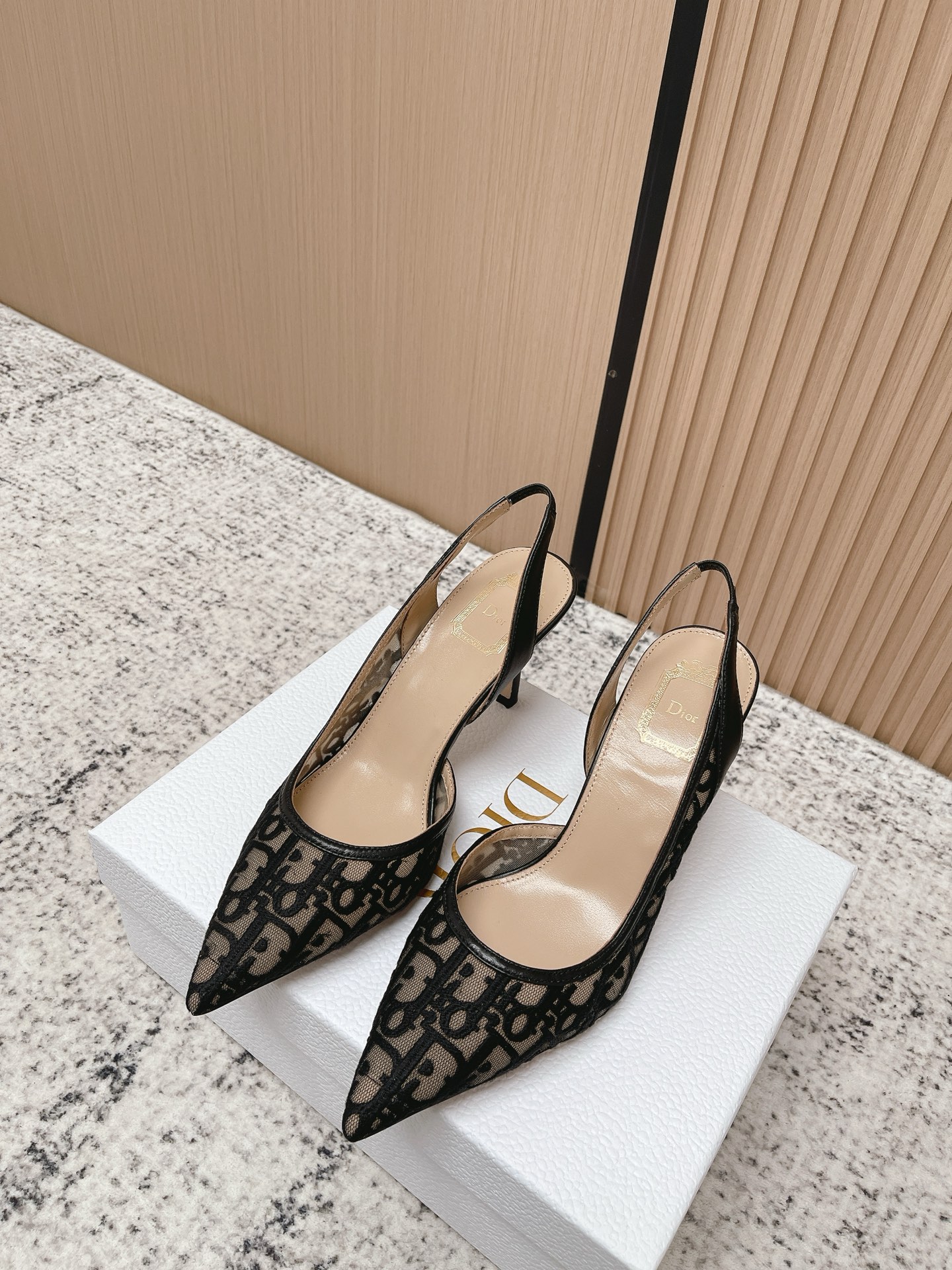 Dior Style Black Leather Women's Shoes Lookbook Reference image 1