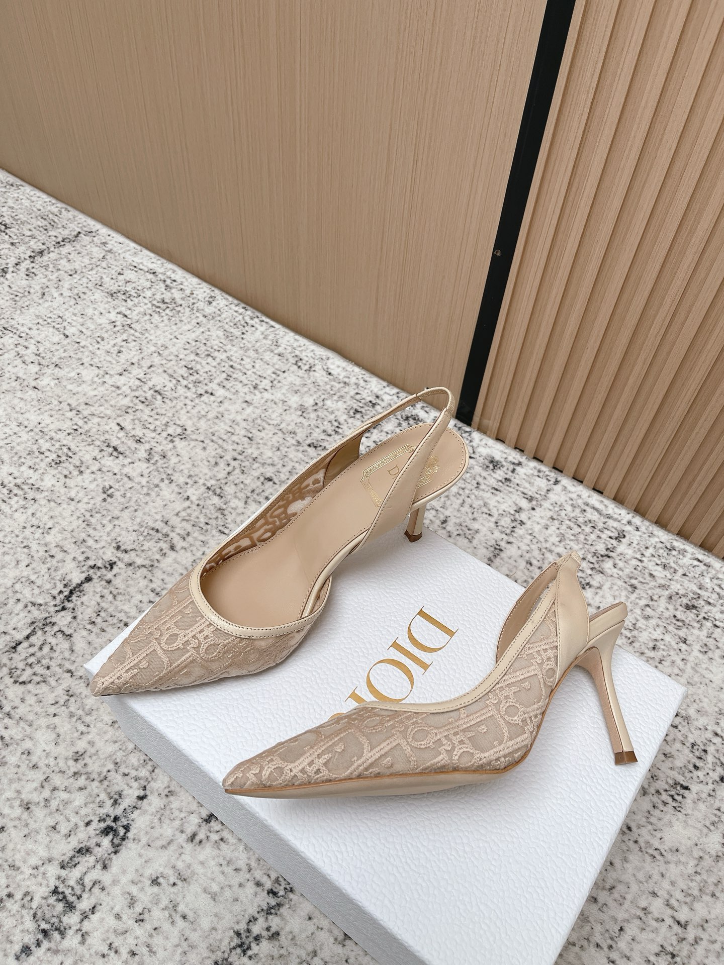 Dior Style Black Leather Women's Shoes Lookbook Reference image 2