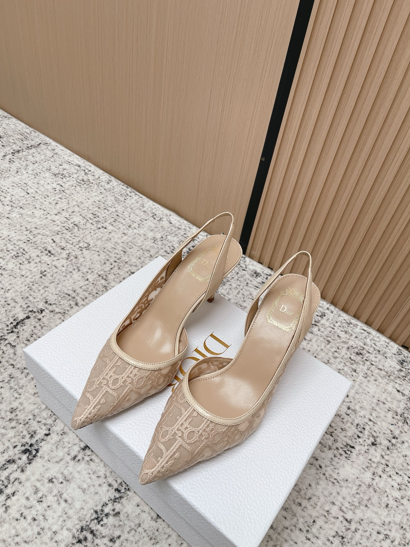 Dior Style Black Leather Women's Shoes Lookbook Reference image 1