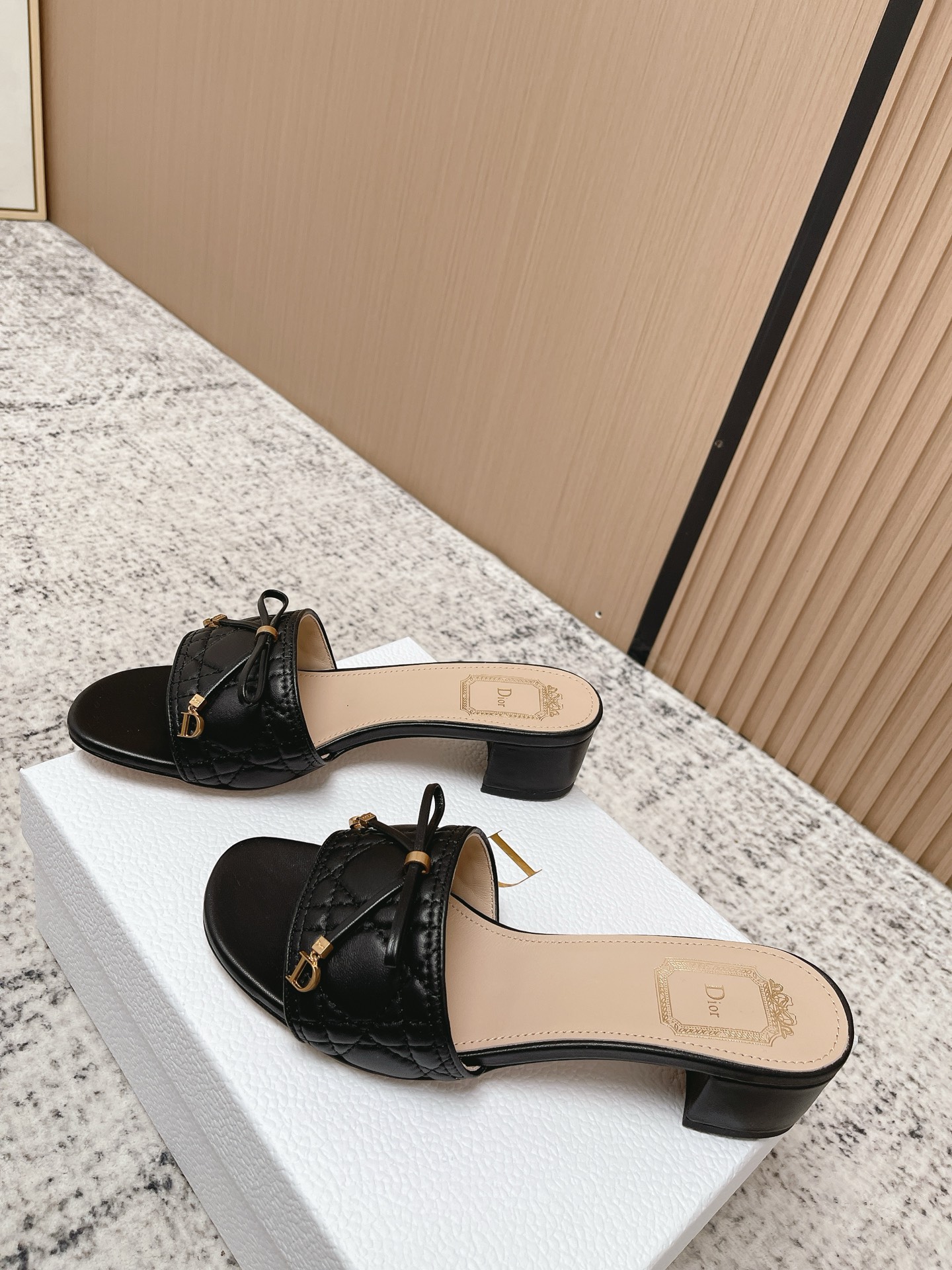Dior Style Leather Women's Shoes Lookbook Reference image 2