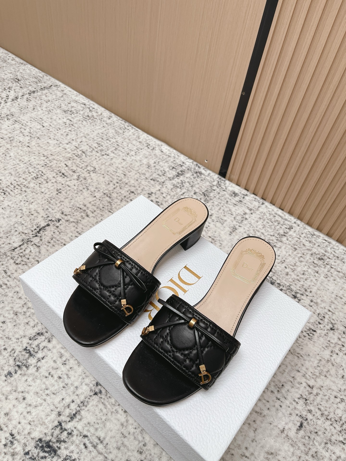 Dior Style Leather Women's Shoes Lookbook Reference image 1