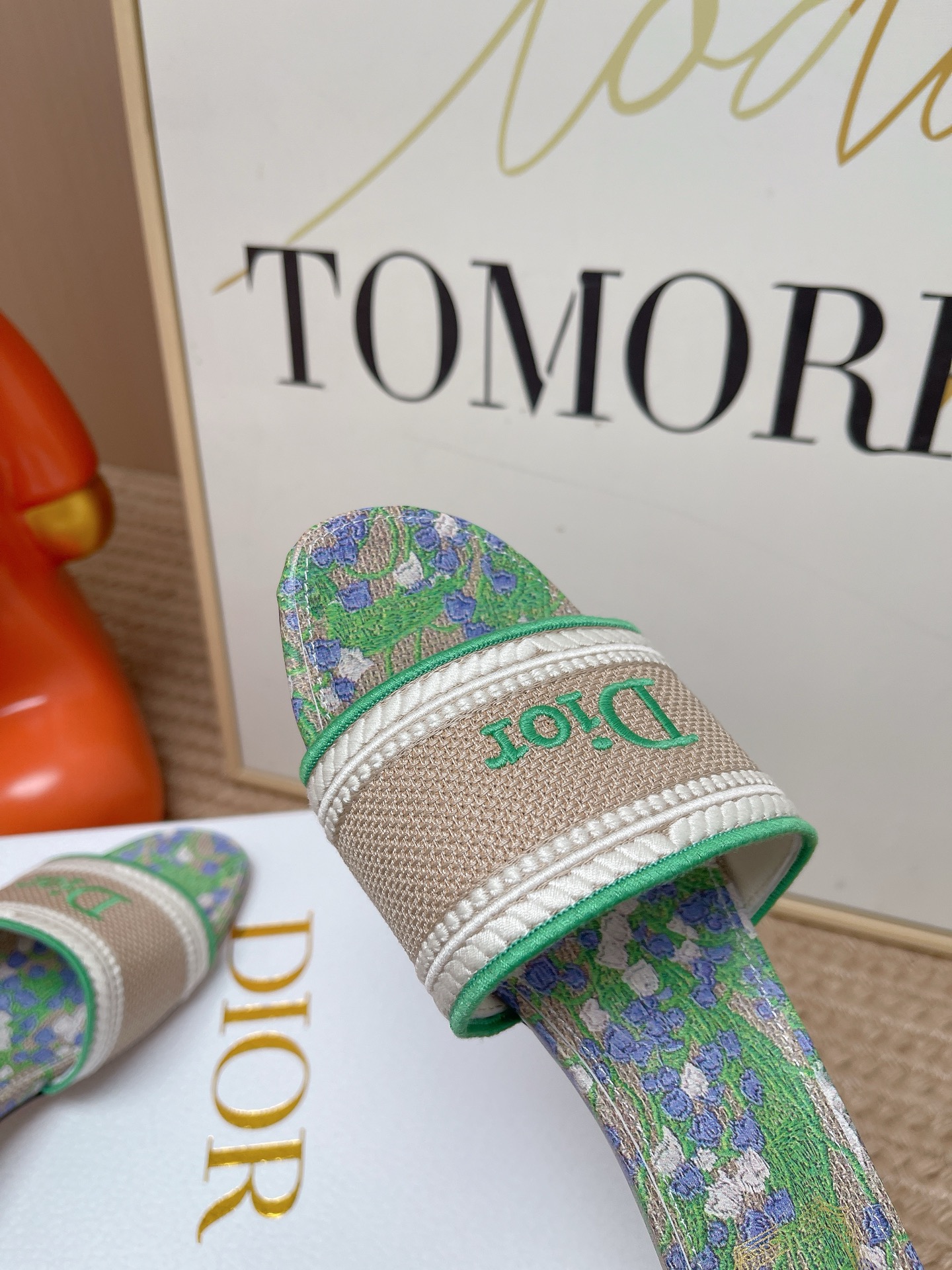 Dior Slides