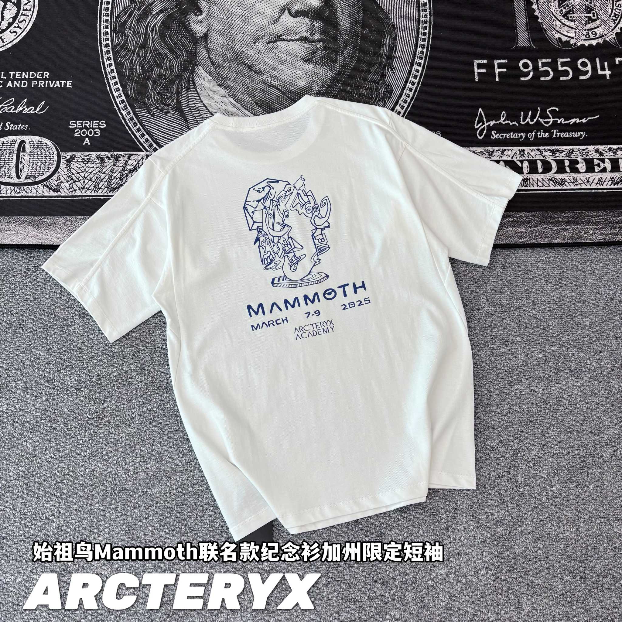 Alternative view of T-Shirt 08329