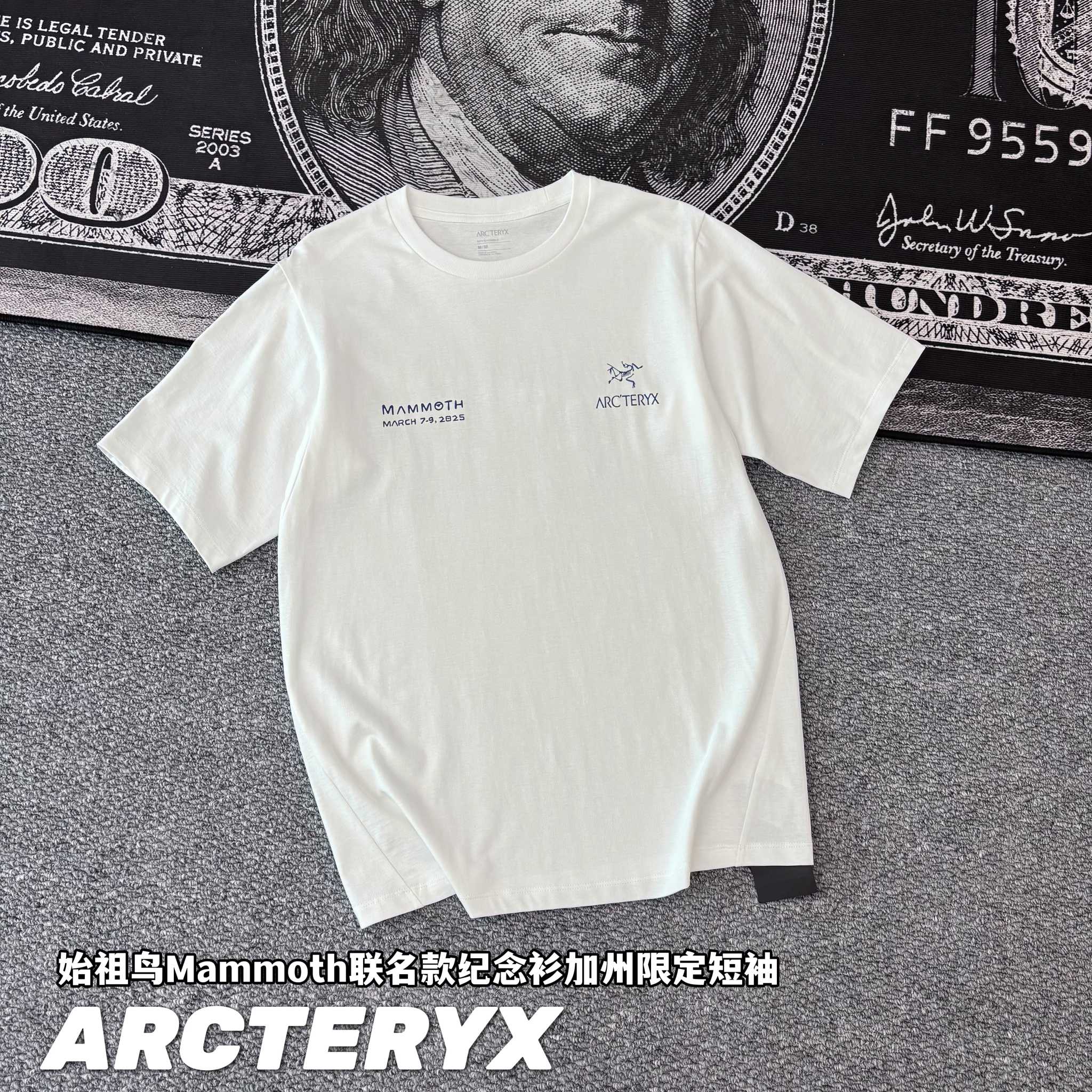 T-Shirt 08329