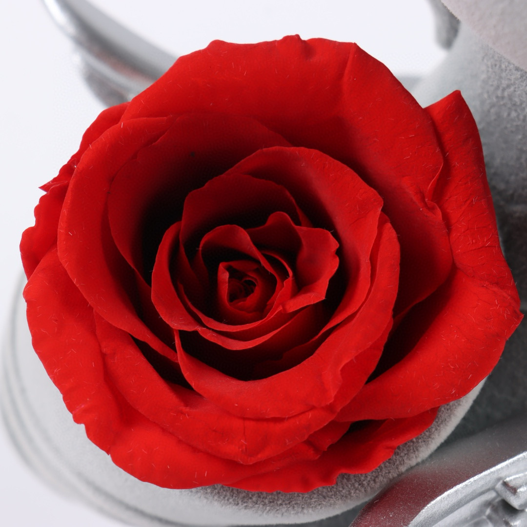 Roseonly 甜心独角兽永生花公仔