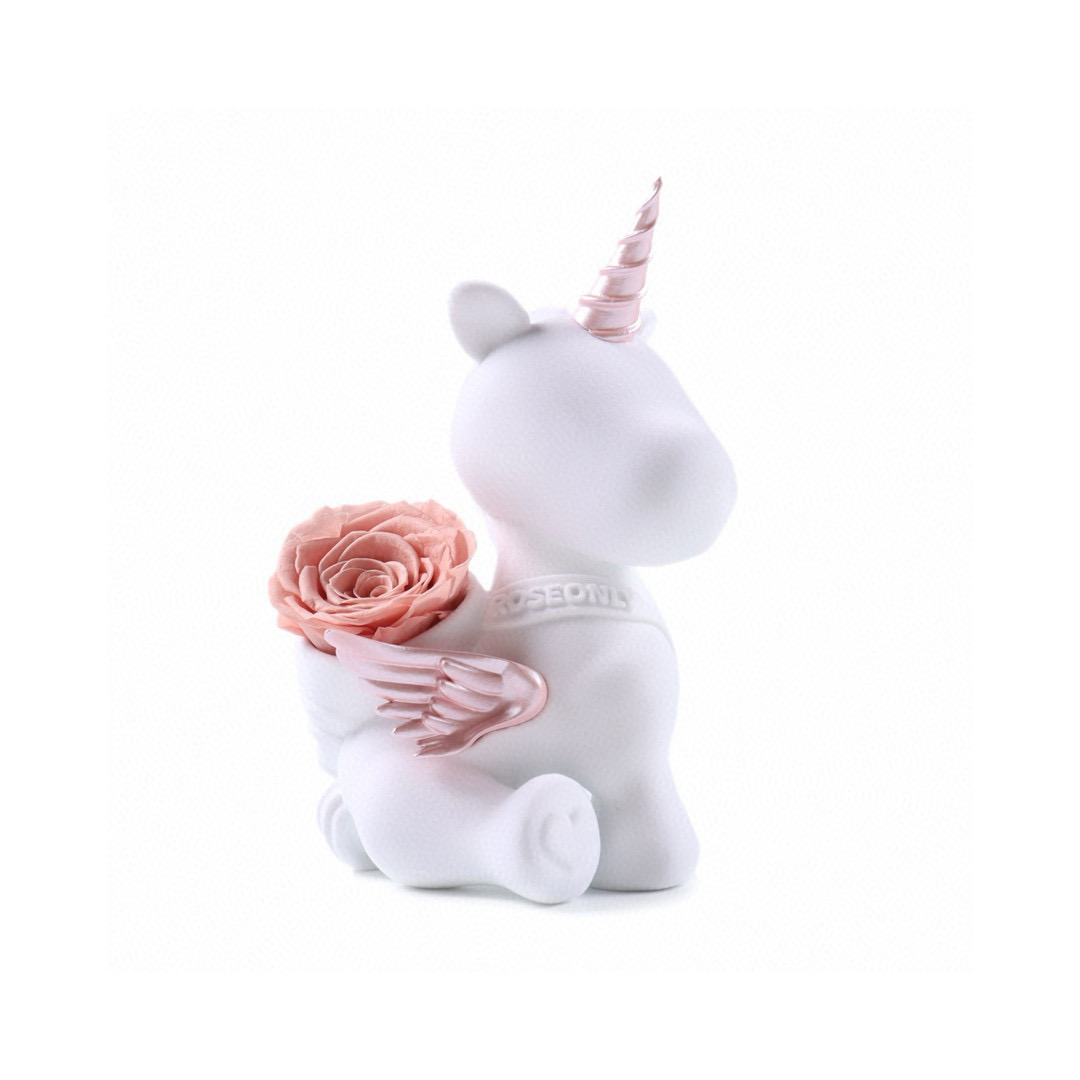 💰280
Roseonly 甜心独角兽永生花公仔
感受温柔宠爱  延续久久浪漫  在古希腊神话中  兔子是爱与美之神阿佛罗狄忒的心爱宠物 是幸运的象征 也被女神赋予“爱情”之意。
设计师以“少女”与“爱情”为灵感,设计出玫瑰公仔系列公仔,玫瑰花束,歪头亲昵依靠,享受这份温柔的宠爱,像每一个收获真爱的少女一样,沉浸幸福,满是甜蜜。
官方原版全套包装📦
那个产品都会附赠品牌官方真爱卡
礼盒、手提袋、代言人明信片