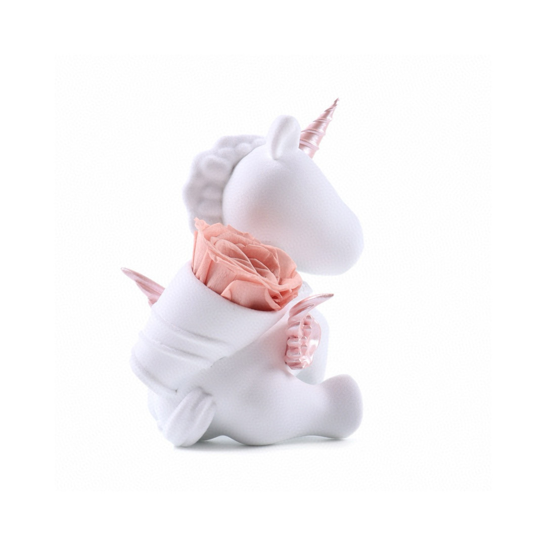 💰280
Roseonly 甜心独角兽永生花公仔
感受温柔宠爱  延续久久浪漫  在古希腊神话中  兔子是爱与美之神阿佛罗狄忒的心爱宠物 是幸运的象征 也被女神赋予“爱情”之意。
设计师以“少女”与“爱情”为灵感,设计出玫瑰公仔系列公仔,玫瑰花束,歪头亲昵依靠,享受这份温柔的宠爱,像每一个收获真爱的少女一样,沉浸幸福,满是甜蜜。
官方原版全套包装📦
那个产品都会附赠品牌官方真爱卡
礼盒、手提袋、代言人明信片