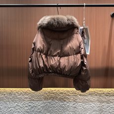 ✨✨✨ loewe✨✨✨2025秋冬新款狐狸毛拆卸毛领V领松紧腰下摆外套。暖调金属棕缎面自带柔光滤镜,蓬 ✨✨✨ loewe✨✨✨2025秋冬新款狐狸毛拆卸毛领V领松紧腰下摆外套。暖调金属棕缎面自带柔光滤镜,蓬