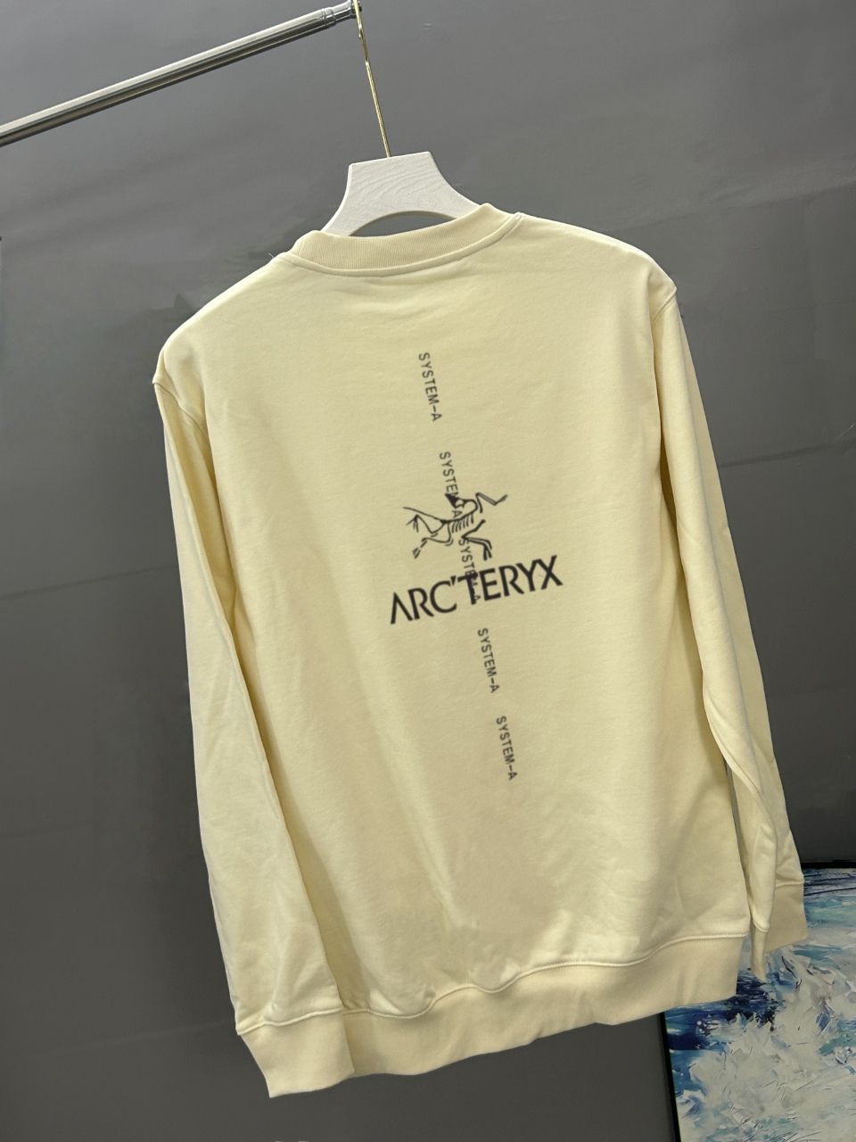ARC`TERYX始祖鸟 2026秋冬季经典印花圆领卫衣长袖采用380G双股大卫衣 高版本，三标齐全！男