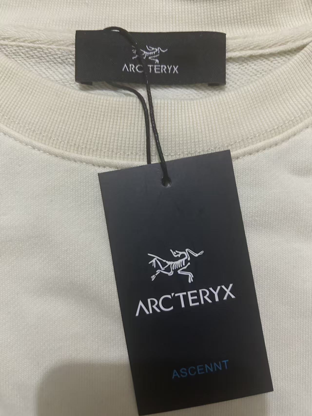 ARC`TERYX始祖鸟 2026秋冬季经典印花圆领卫衣长袖采用380G双股大卫衣 高版本，三标齐全！男