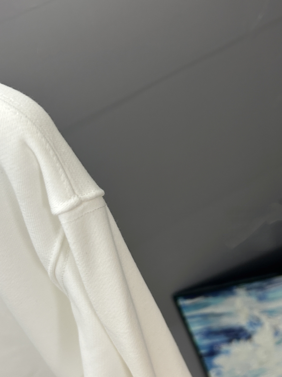 ARC`TERYX始祖鸟 2026秋冬季经典印花圆领卫衣长袖采用380G双股大卫衣 高版本，三标齐全！男