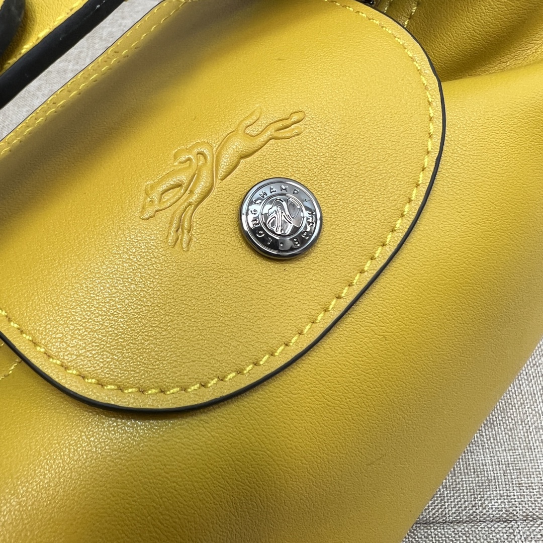 Longchamp Detailed real shots