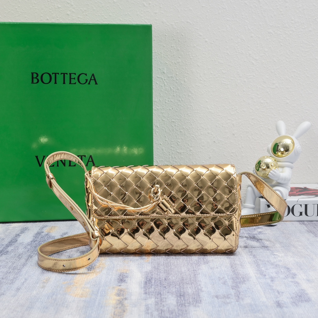 BottegaVeneta新款迷你andiamo小包太太太好看了深棕色很百搭的颜色高级随性感十足Andi