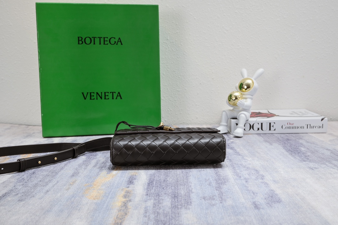 BottegaVeneta新款迷你andiamo小包太太太好看了深棕色很百搭的颜色高级随性感十足Andi