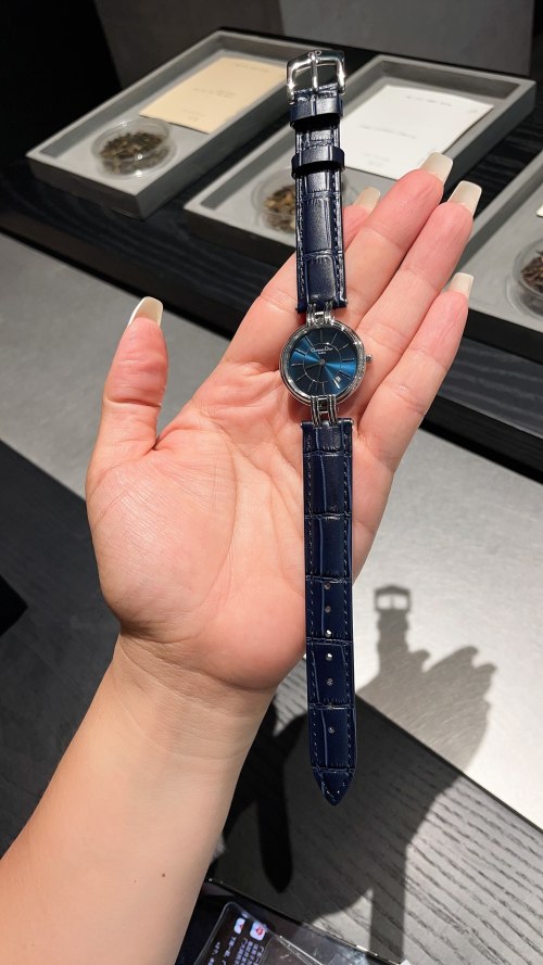 Dior Watch with Blue Dial and Embossed Pumpkin Design, Ladies' Fashion Timepiece 1 Dior Watch with Blue Dial and Embossed Pumpkin Design, Ladies' Fashion Timepiece