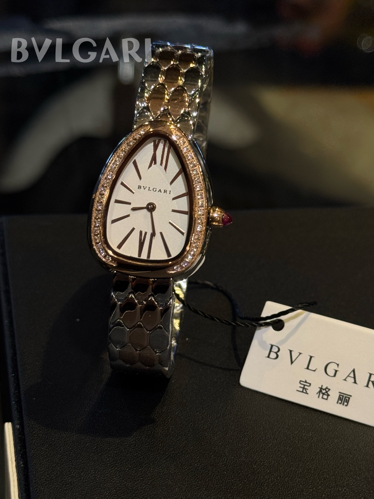 _dk19s_OmJAedN-53WZd9-QHnzbsMi1oeLg0KdfQ