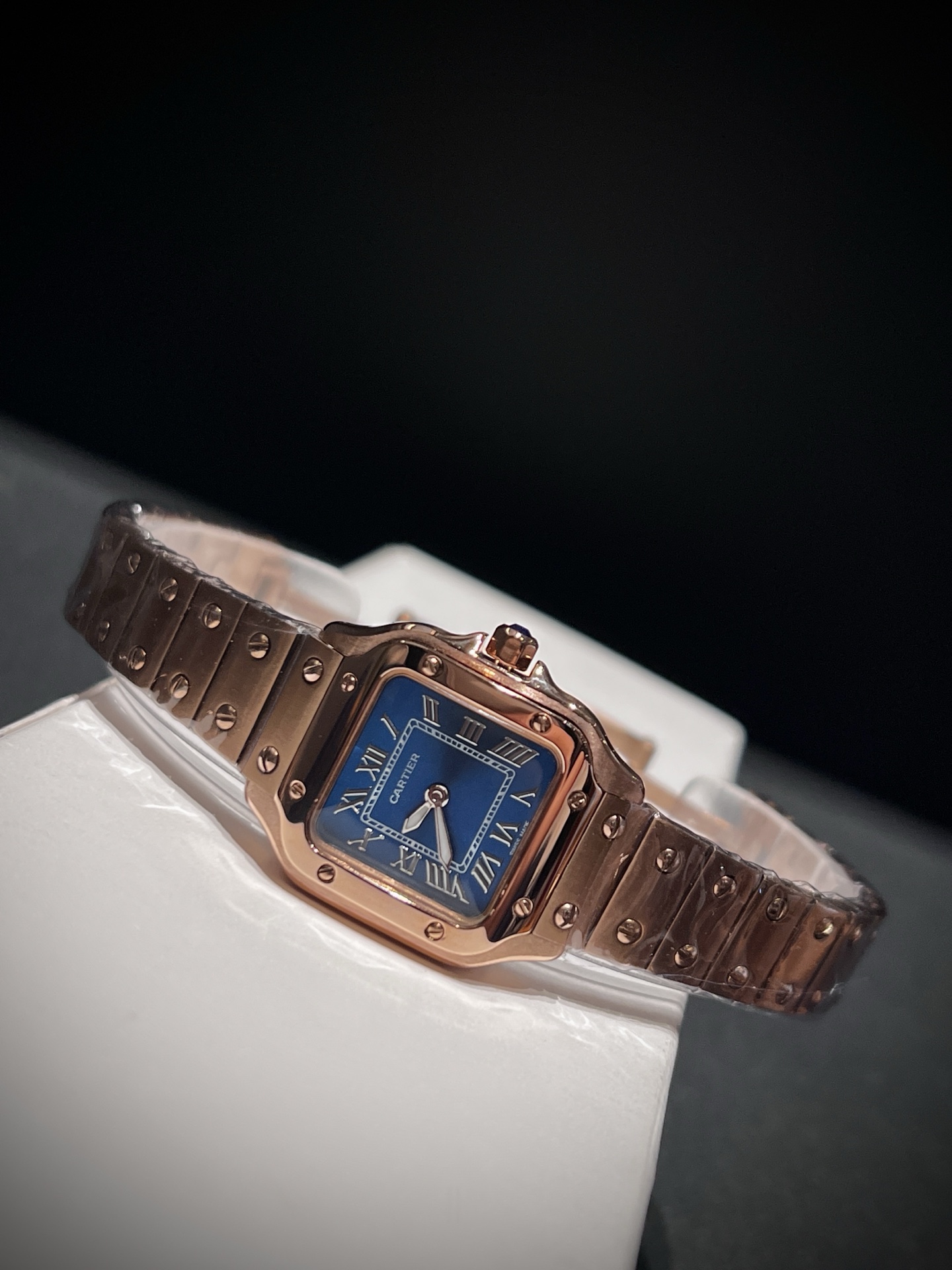 Cartier 卡地亚 山度士系列