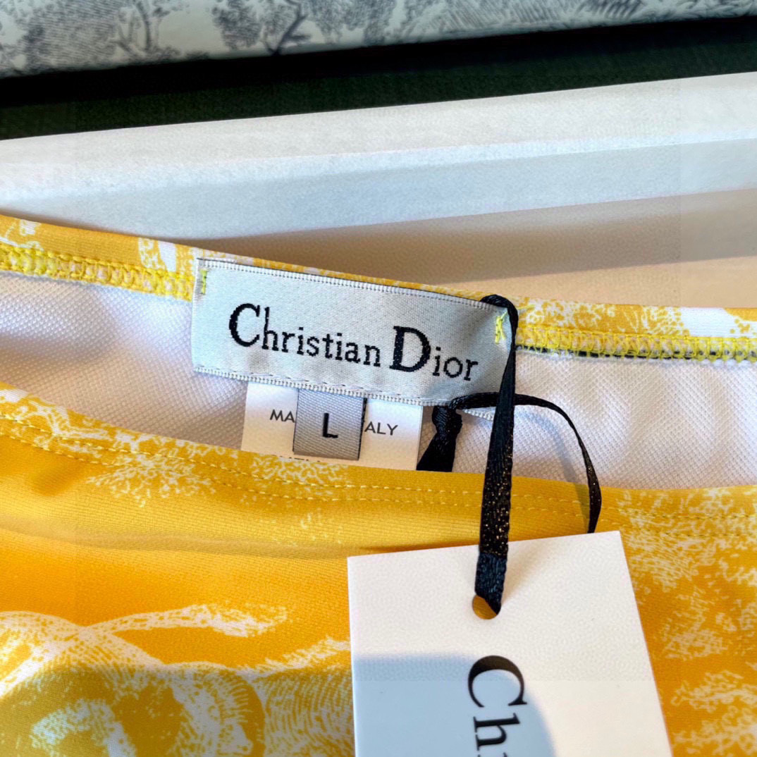  Dior新款泳衣😍🥰适合多种场景的游泳衣🏊‍♀️海边 游泳池 温泉 水上乐园 漂流都可以😌内搭也完全可