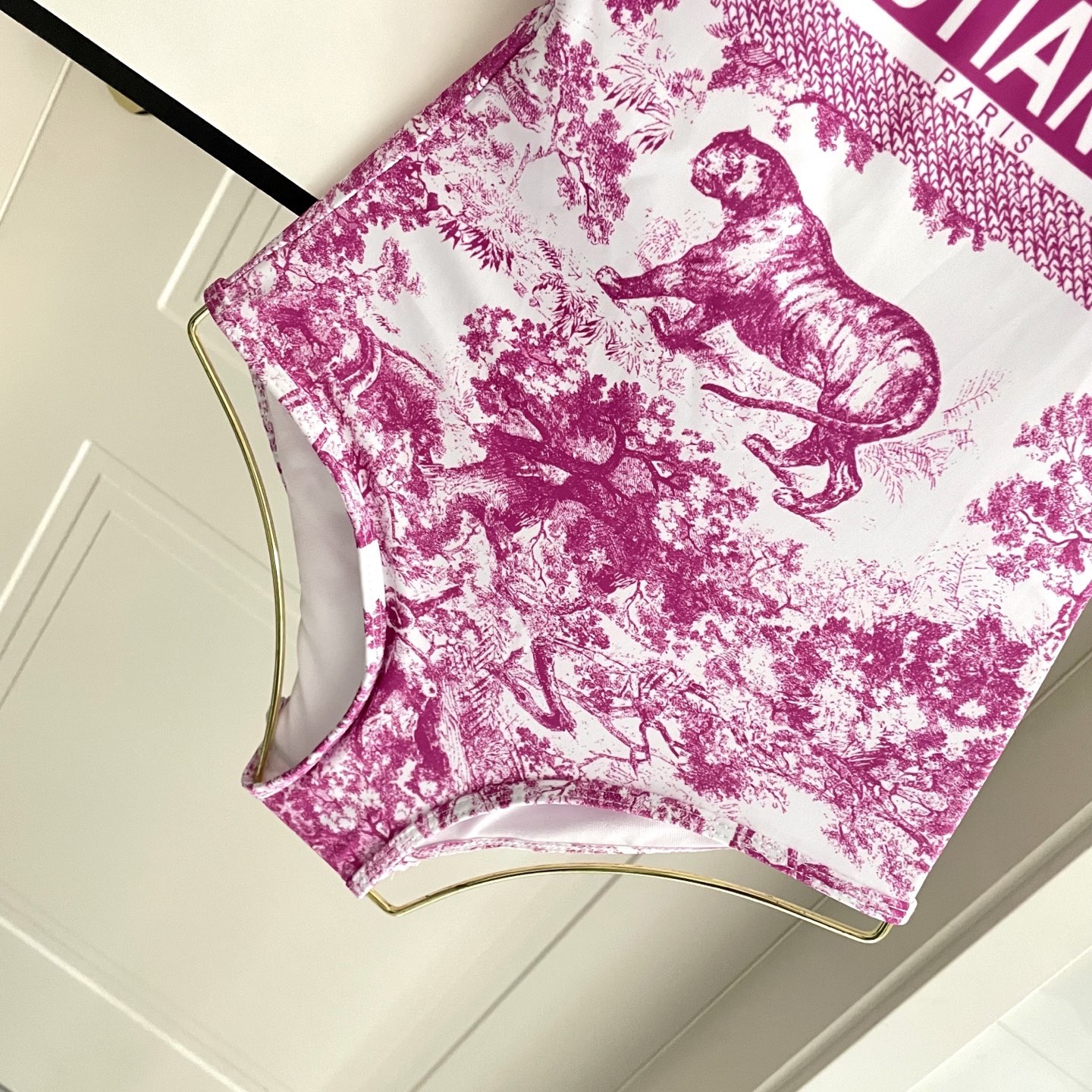 Dior字母新款连体式泳衣👙❤️😍🥰适合多种场景的游泳衣🏊‍♀️海边 游泳池 温泉 水上乐园 漂流都可以