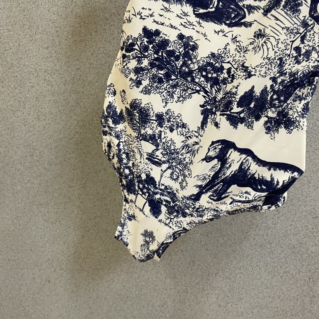 迪奥泳衣👙❤️😍🥰适合多种场景的游泳衣🏊‍♀️海边 游泳池 温泉 水上乐园 漂流都可以😌内搭外穿也完全可