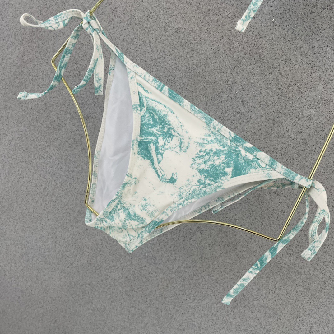 Dior迪奥新款分体式泳衣👙❤️😍🥰适合多种场景的游泳衣🏊‍♀️海边 游泳池 温泉 水上乐园 漂流都可以