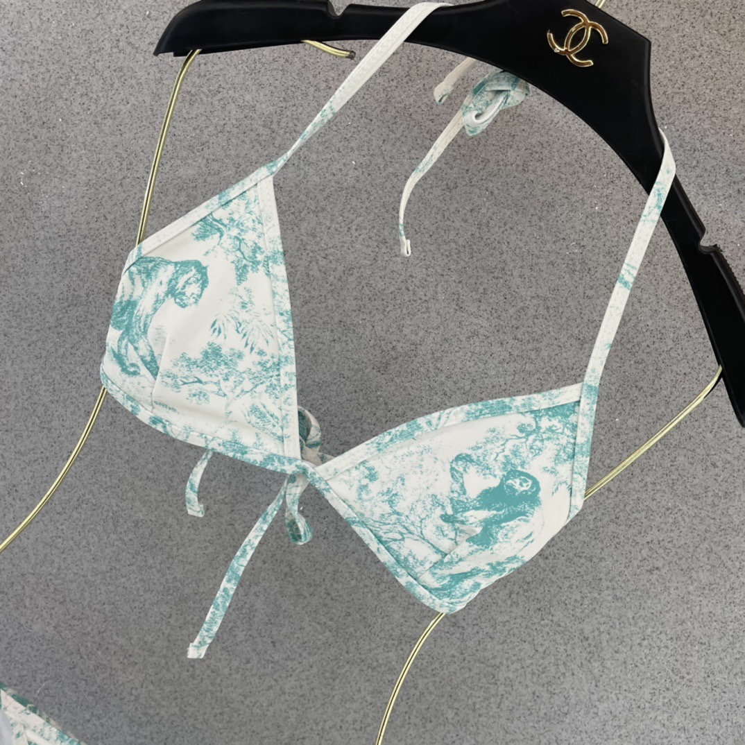 Dior迪奥新款分体式泳衣👙❤️😍🥰适合多种场景的游泳衣🏊‍♀️海边 游泳池 温泉 水上乐园 漂流都可以
