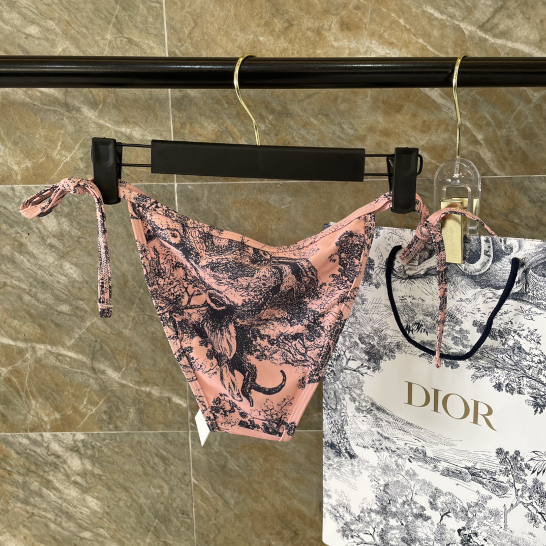 Dior比基尼👙❤️😍🥰适合多种场景的游泳衣🏊‍♀️海边 游泳池 温泉 水上乐园 漂流都可以😌内搭外穿也