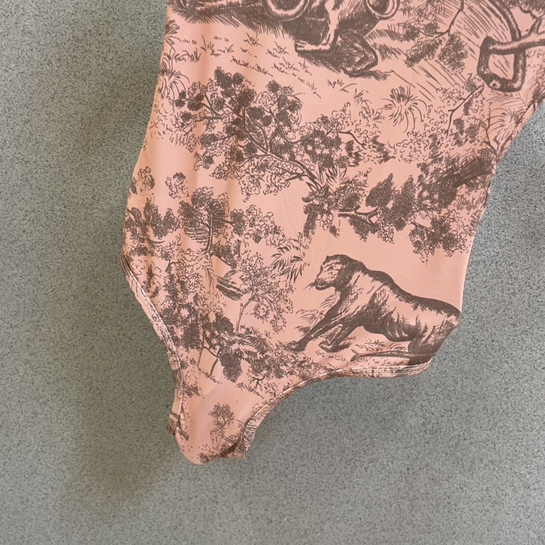 Dior 迪奥连体泳衣 强烈推荐！超显气质 😍🥰适合多种场景的游泳衣🏊‍♀️海边 游泳池 温泉 水上乐园