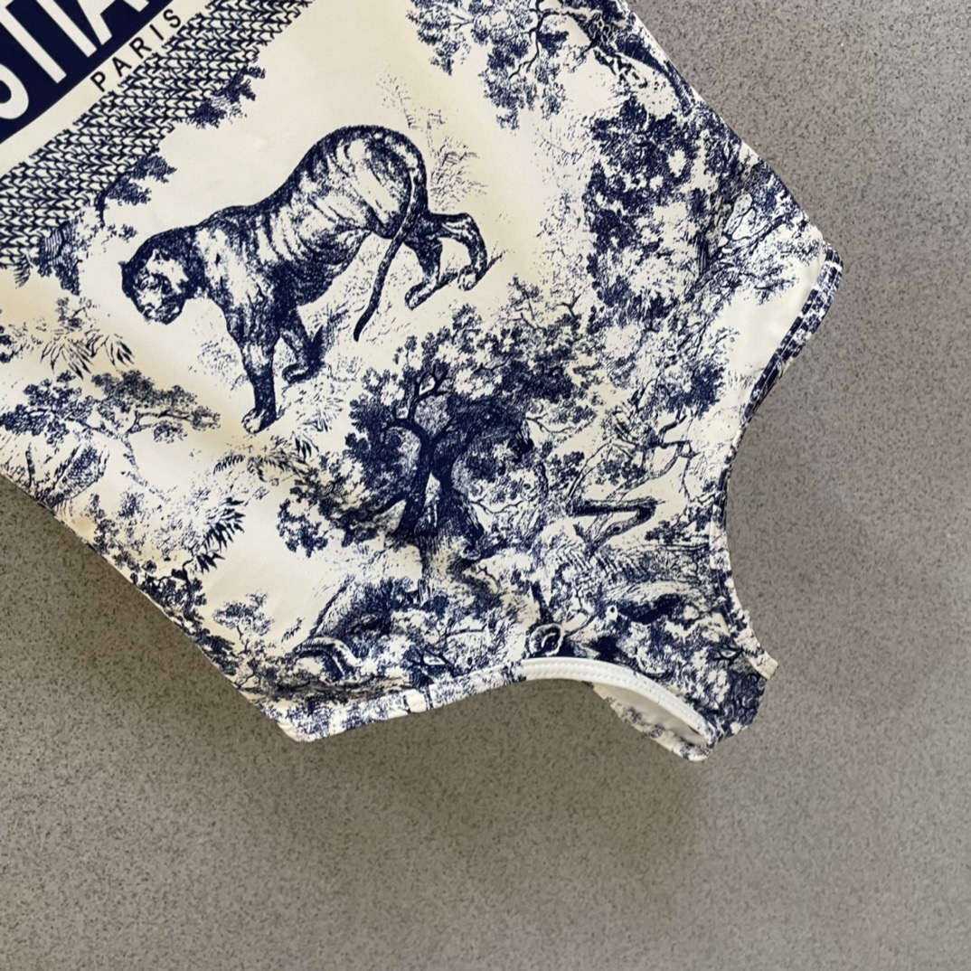 Dior 迪奥连体泳衣 强烈推荐！超显气质 😍🥰适合多种场景的游泳衣🏊‍♀️海边 游泳池 温泉 水上乐园