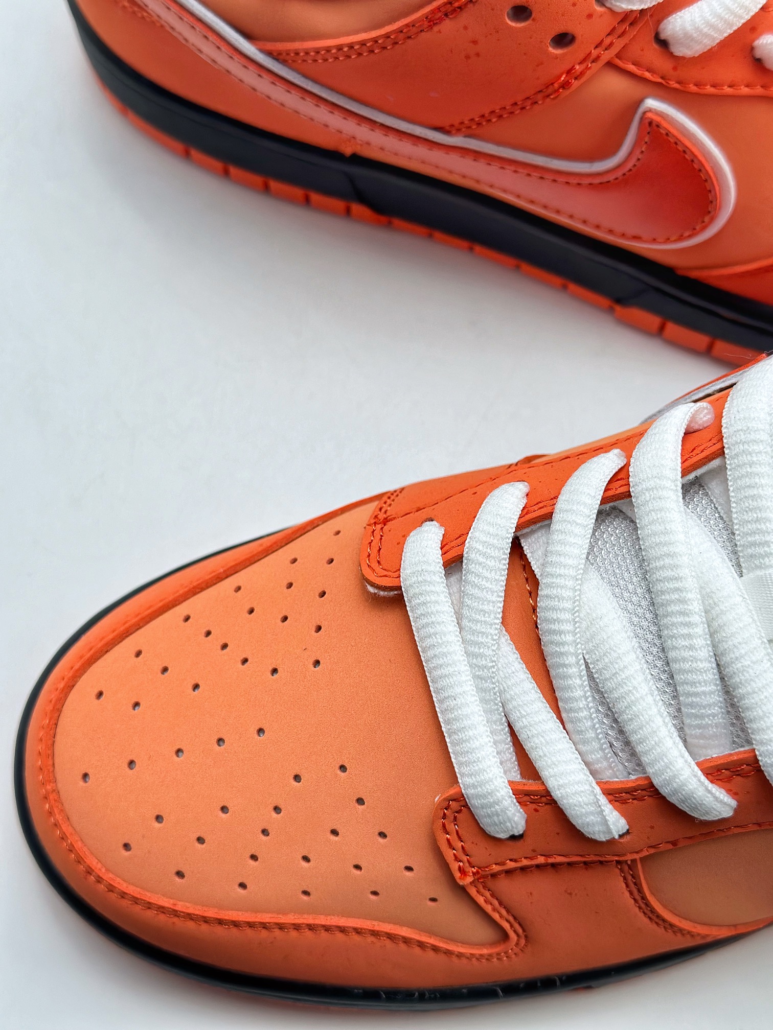 210 NIKE SB Dunk Low x Concepts "Orange Lobster" 橙龙虾 FD8776-800