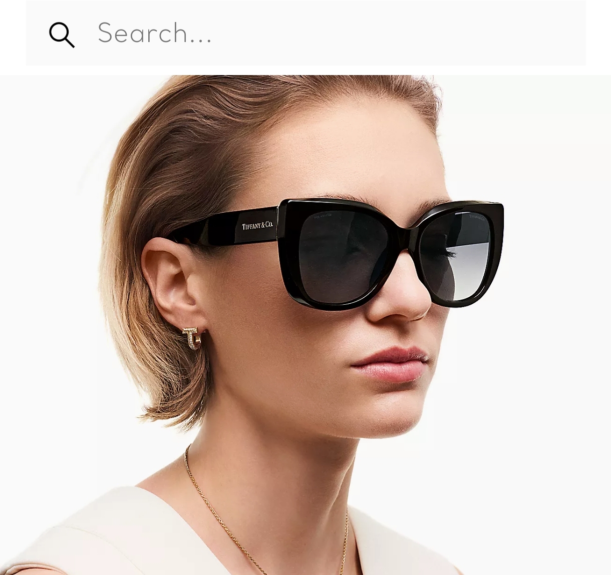  TIFFANY&Co
MODEL：TF5023
SIZE：56口17-145
