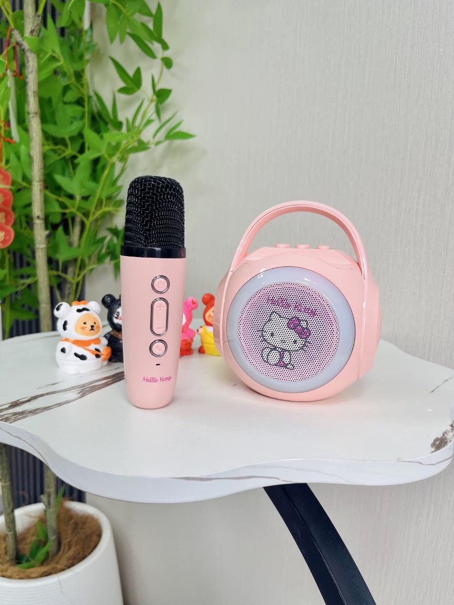 Model 2: Cinnamoroll Edition - Lifestyle