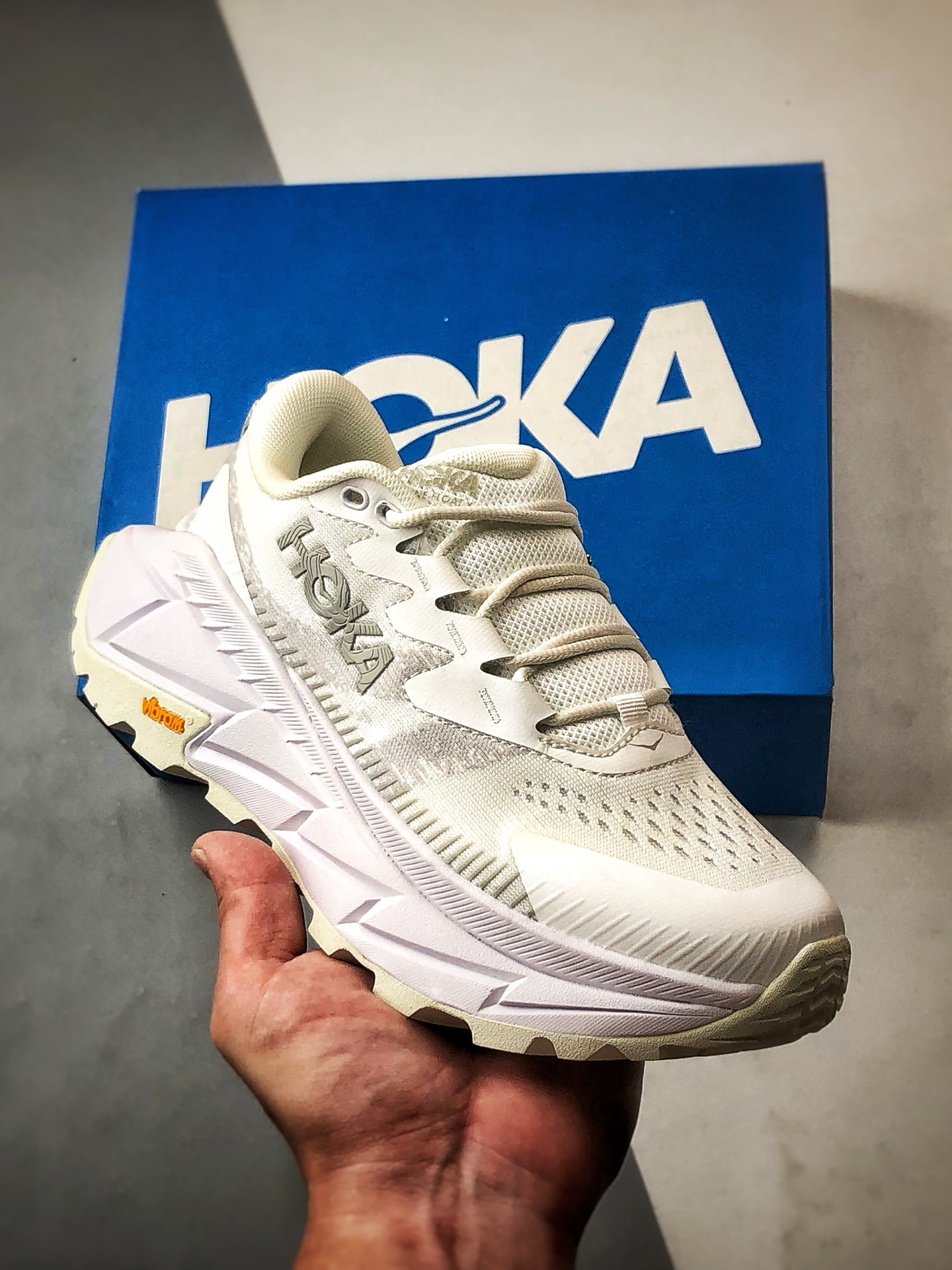 210 Hoka One One Skyline-Float X 白色 天际线户外功能休闲徒步鞋 1153350-WWH