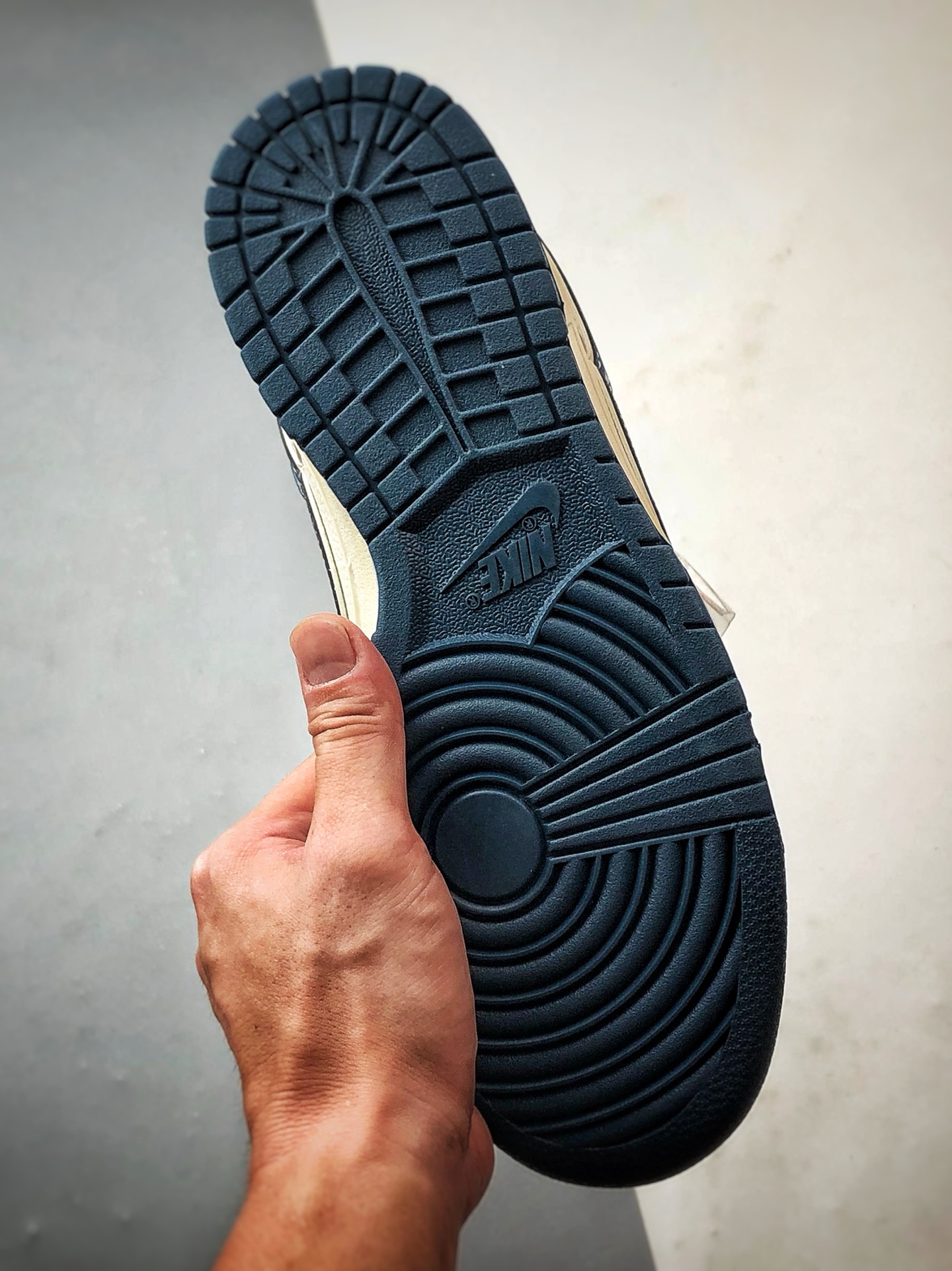 290 NK Dunk Low Retro ”DIY高端定制” 北面米白墨蓝印字钩 低帮休闲运动板鞋 SR2025-003