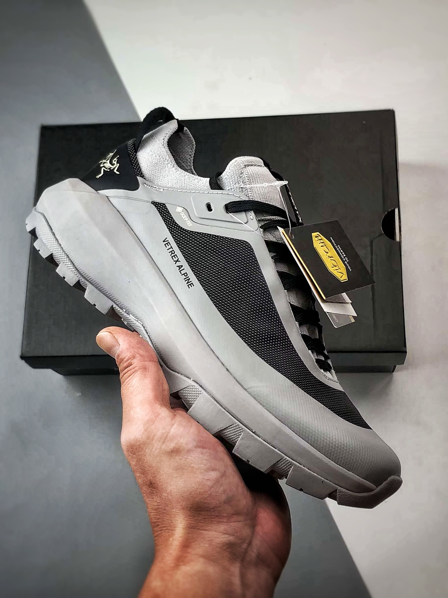 Arcteryx Vertex Alpine GTX