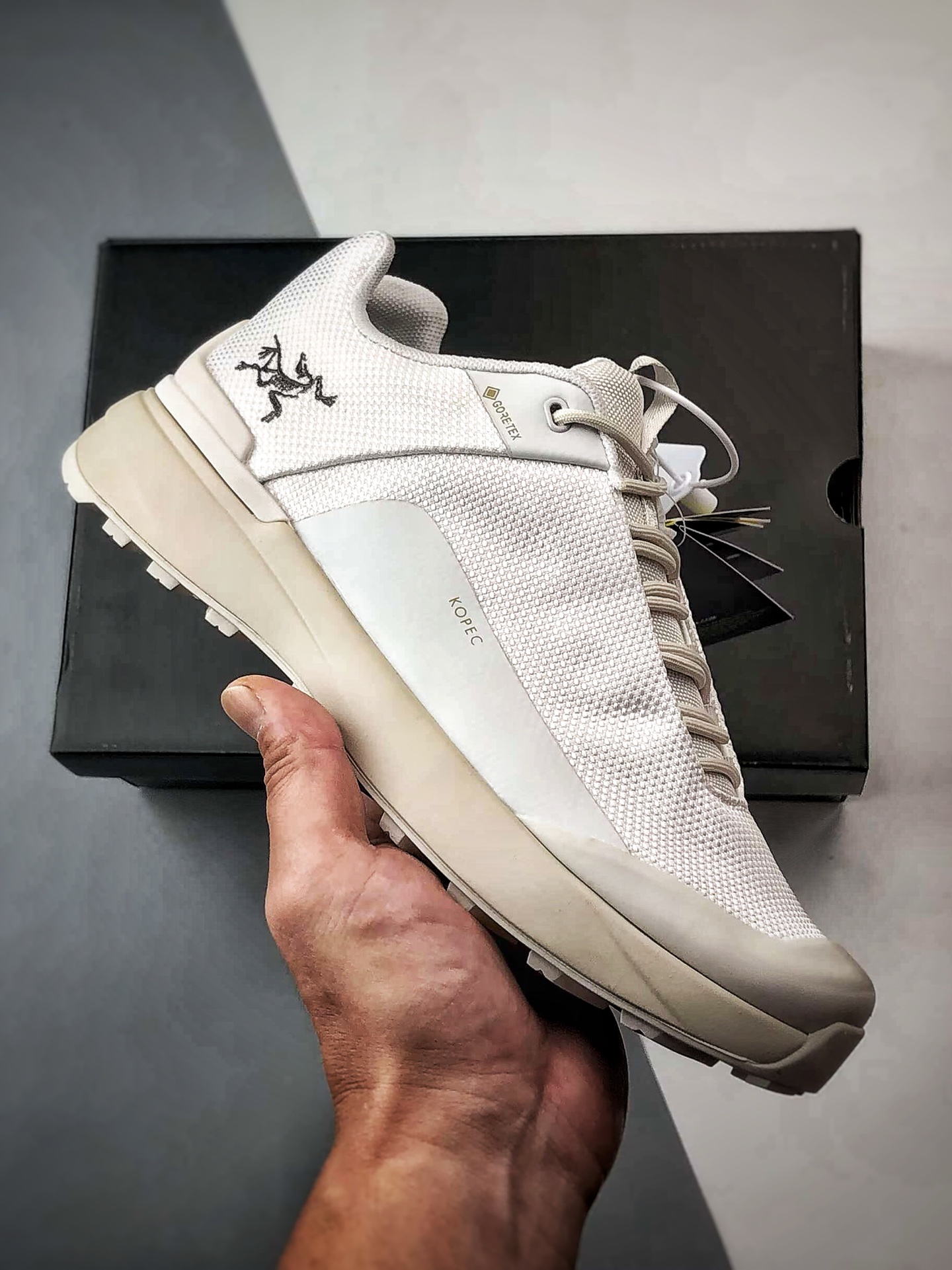 Кроссовки мужские Arc'teryx Kopec GTX Gore-Tex